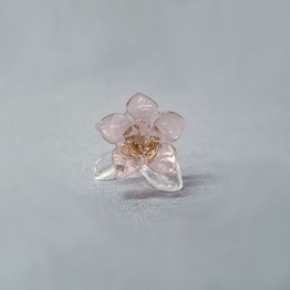 Swarovski Kristal | SCS | Leden Geschenken | SCS - Ledengeschenk 2021 - Woestijnroos | 5557914